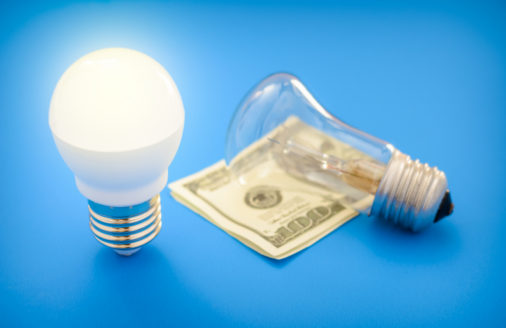 Use energy efficient light bulbs